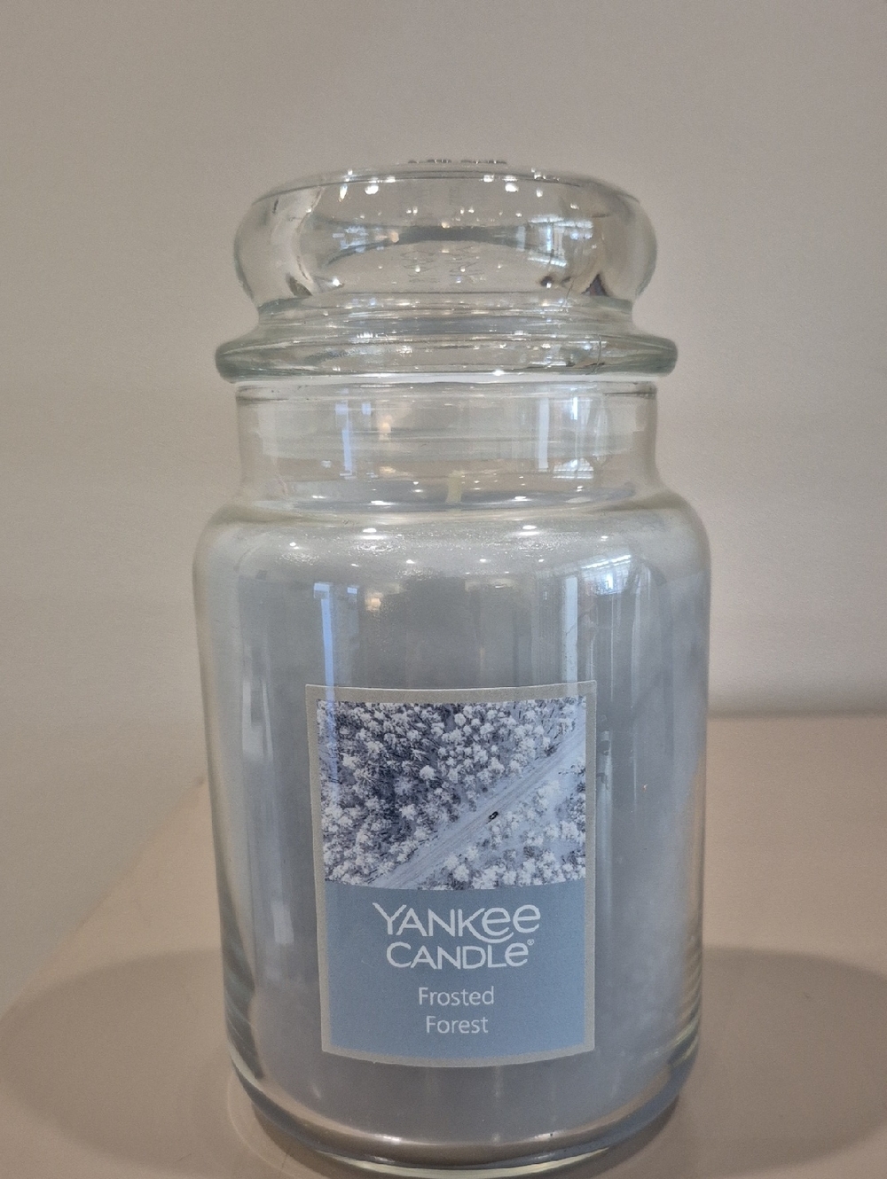 Yankee Candle Frosted Forest Jar Candle - Pale Blue